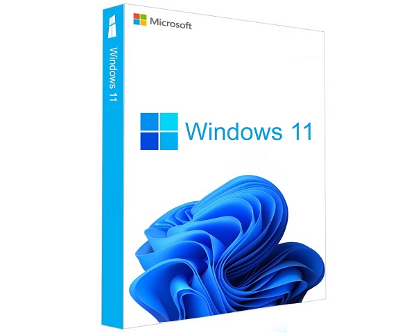 MICROSOFT WINDOWS 11 PROFESSIONAL